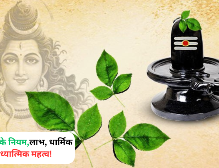 बेलपत्र चढ़ाने के नियम,लाभ, धार्मिक और आध्यात्मिक महत्व!