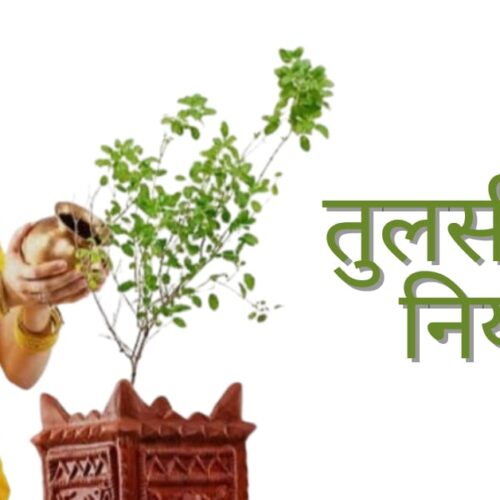 Tulsi Puja Niyam