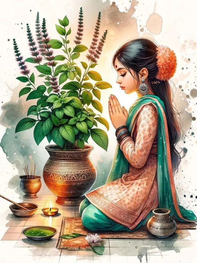 तुलसी की पूजा का महत्व — सुख, शांति और समृद्धि का प्रतीक